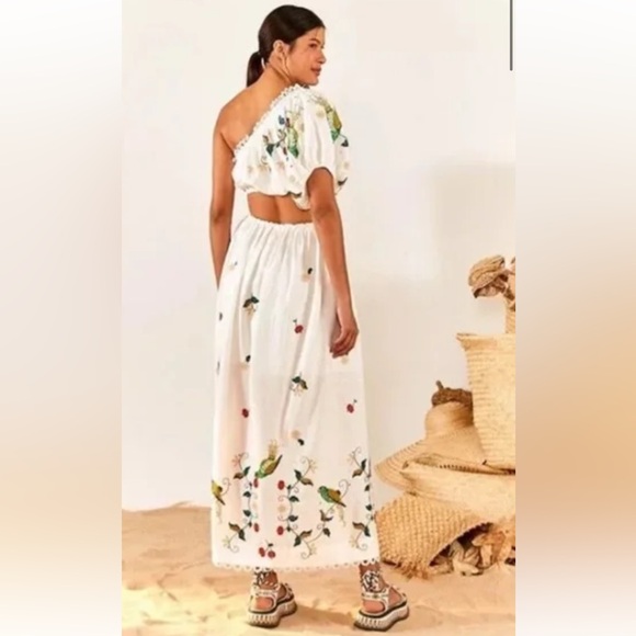FARM Rio Pitanga Embroidery Maxi Dress - Picture 3 of 9